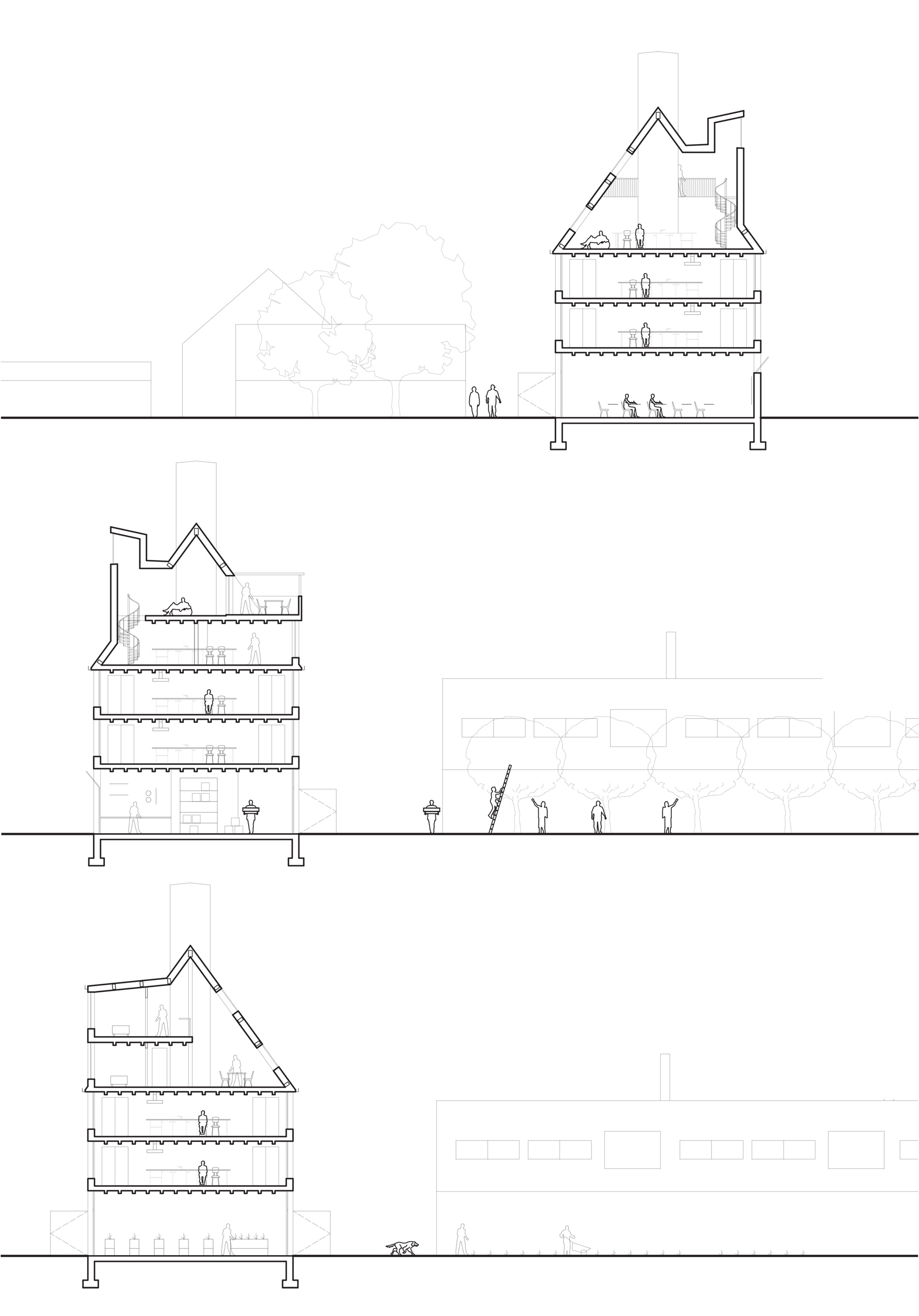 coupe projet logement